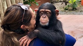 The most unbelievable experience Meeting Limbani at Zoological Wildlife Foundation [upl. by Orthman545]