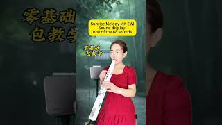 Sunrise Melody MK EWIsound display one of the 68 sounds ewi sunrisemelodyewi electricflute MK [upl. by Leseil]