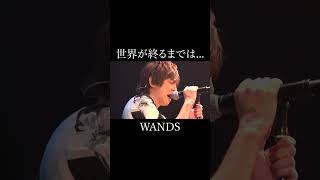 世界が終るまでは  WANDS【歌ってみた】 shorts [upl. by Tips]