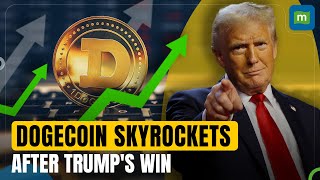 Dogecoin Soars After Trump’s Election Win Boosted by ProCrypto Stance and Musks Support  N18G [upl. by Kassey]