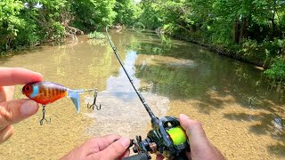 BFS Topwater Fishing Small Creek [upl. by Ofilia864]