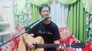 Leader of the band Dan Fogelberg cover [upl. by Biddle]