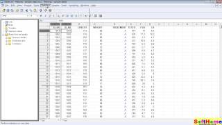 Tutorial for MedCalc Summary statistics 教學 [upl. by Arriet356]