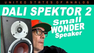 Dali Spektor 2 Review Small but MIGHTY [upl. by Nuli]