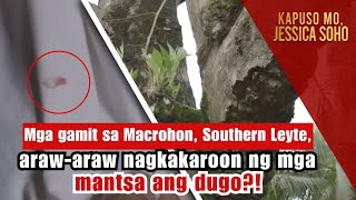 Mga gamit sa Southern Leyte arawaraw nagkakaroon ng mga mantsa ng dugo  Kapuso Mo Jessica Soho [upl. by Alikam]