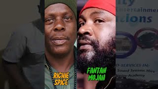 Reggae Riddim Mix I 2024 I Fantan Mojah  Richie Spice riddim DiscoverMyAfrica [upl. by Ion785]