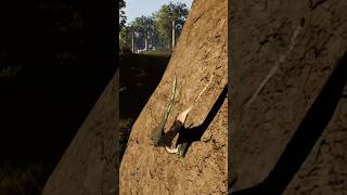 The Isle  New Pteranodon Video Is Out Now [upl. by Lemmuela281]