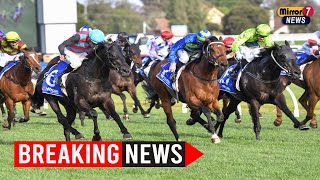 Caulfield Cup 2024 Excitement Builds as Super Saturday Unfolds [upl. by Nodnal]