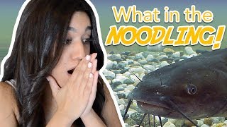 Learning about Noodling  Reaction Video [upl. by Sheldon]