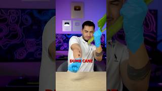 ZEHİRLİ BİTKİ 🪴 Dumb Cane [upl. by Adnilema]