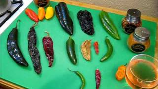 All About Chilies What you need to know S1 Ep177 [upl. by Ruelu]