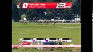 2015 TRENTHAM NZ HURDLE  RACE 1  June 06 [upl. by Zondra]