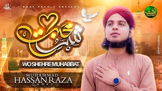 Wo Shehr e Mohabbat  New Beautiful Naat Sharif  Hassan Raza Qadri [upl. by Auhsot620]