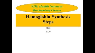 Hemoglobin Synthesis Porphyrin Synthesis [upl. by Merna268]