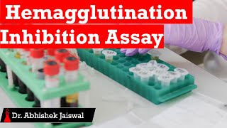 Hemagglutination Inhibition Assay [upl. by Dray538]