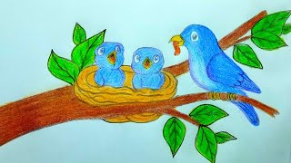 How to draw a nest with birds step by step Easy birds drawing for beginners [upl. by Lledraw]