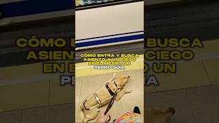 Cómo entra y busca asiento a un Ciego en el metro un Perro Guía 🚇 🦮 [upl. by Nolyarb]