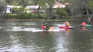 Living Dock Kayak Launch Planting at Clarks Island in Clearlake Oaks CA [upl. by Aidyl652]