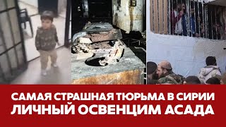 🔴СРОЧНО САМАЯ СТРАШНАЯ ТЮРЬМА СИРИИ ДЕТИ ЗА РЕШЕТКОЙ И СРОКИ ПО 45 ЛЕТ новости сирия асад путин [upl. by Monto394]