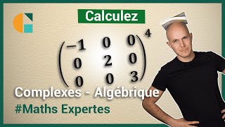 Puissance de matrices diagonales  Exercices corrigés  Maths expertes terminale [upl. by Nananne736]