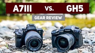 Sony A7iii vs Panasonic GH5 for Video [upl. by Alakim]