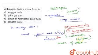 Methanogenic bacteria are not found in [upl. by Herrington]