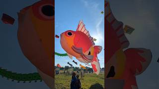 Biggest KITES FESTIVAL  Tamil Nadu 2024 [upl. by Ttergram]