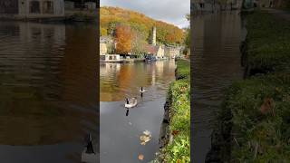 Autumn Evening at Hebden Bridge 🍂 shorts canal autumn autumncolors [upl. by Hedvige963]