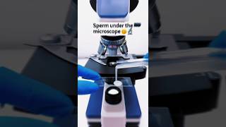 Sperm 🤫 Under microscope 😲🔬 part 2 shorts science microscope [upl. by Hausner]