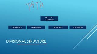 DIVISIONAL STRUCTUREadvantages and disadvantages of divisional structure [upl. by Longawa436]