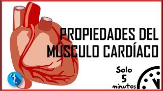 PROPIEDADES DEL MÚSCULO CARDÍACO  Aprendiendo Medicina MEDX [upl. by Petulia]