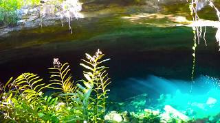 Lucayan National Park Grand Bahama Island [upl. by Dawes]