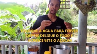 quot ALIMENTO PARA ABELHASquot  quotXAROPEquot  quotREFORÇOquot quotMeliponiculturaquot [upl. by Aihsiyt]