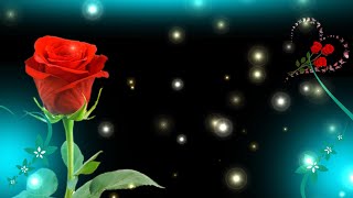 Black screen effect  Color light video  New template background star video effect [upl. by Aisatnaf]