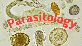 Introduction of Parasitology  Type of parasites and Host [upl. by Tupler766]