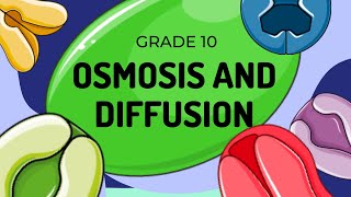 Diffusion and Osmosis [upl. by Fogg883]