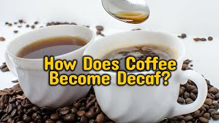 How Does Coffee Become Decaf The Decaffeination Process Explained [upl. by Aura171]