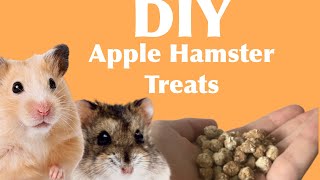 DIY Apple Hamster Treat Recipe [upl. by Souvaine580]