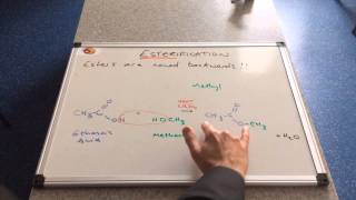 Esterification [upl. by Busch]