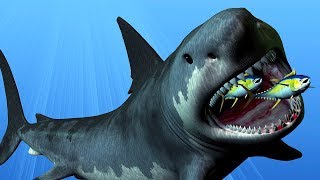 What If Megalodon Sharks Were Still Alive  Unveiled [upl. by Daberath]