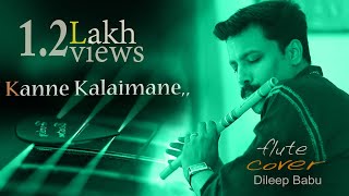 Kanne Kalaimane  Moondram Pirai \ Flute Song By Dileep Babu B [upl. by Aldo101]