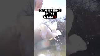 CRAPPIE FISHING in the CREEKS‼️ [upl. by At]