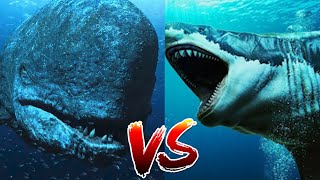 Megalodon VS Livyatan  Who Would Win [upl. by Hukill289]