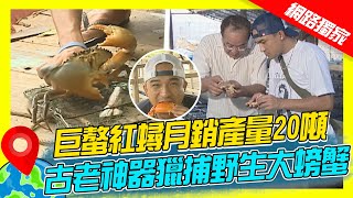 【世界海鮮展】巨螯紅蟳月銷產量20噸 古老神器獵捕紅樹林野生大螃蟹｜《世界第一等》濃縮精華版 世界該去哪 [upl. by Melan]