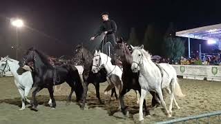 Gran Gala equestre Bagnolo Piemonte 6°esibizione Lorenzo [upl. by Colene]