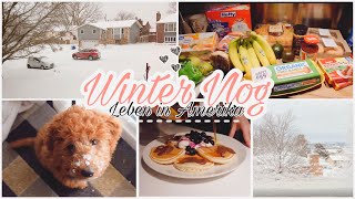 Wintersturm … soviel Schnee ❄️😳  Schneefrei  Current Read  Food Haul  Haushalt  Amerika VLOG [upl. by Neellok226]