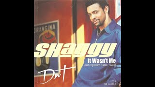 Shaggy It wasnt me Lyrics [upl. by Norah359]