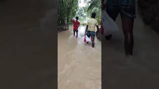 People help the flood affected people in Nalitabari [upl. by Thinia]