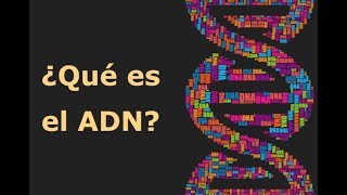 ¿Qué es el ADN [upl. by Kcirddec]