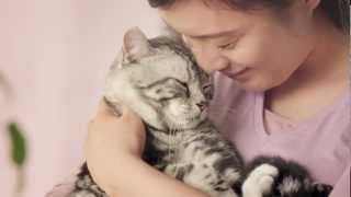 Whiskas TVC China [upl. by Notnelc]